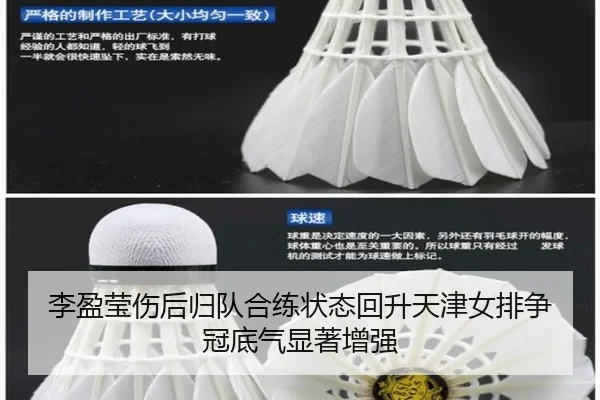 李盈莹伤后归队合练状态回升天津女排争冠底气显著增强